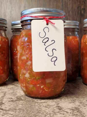 Homemade salsa